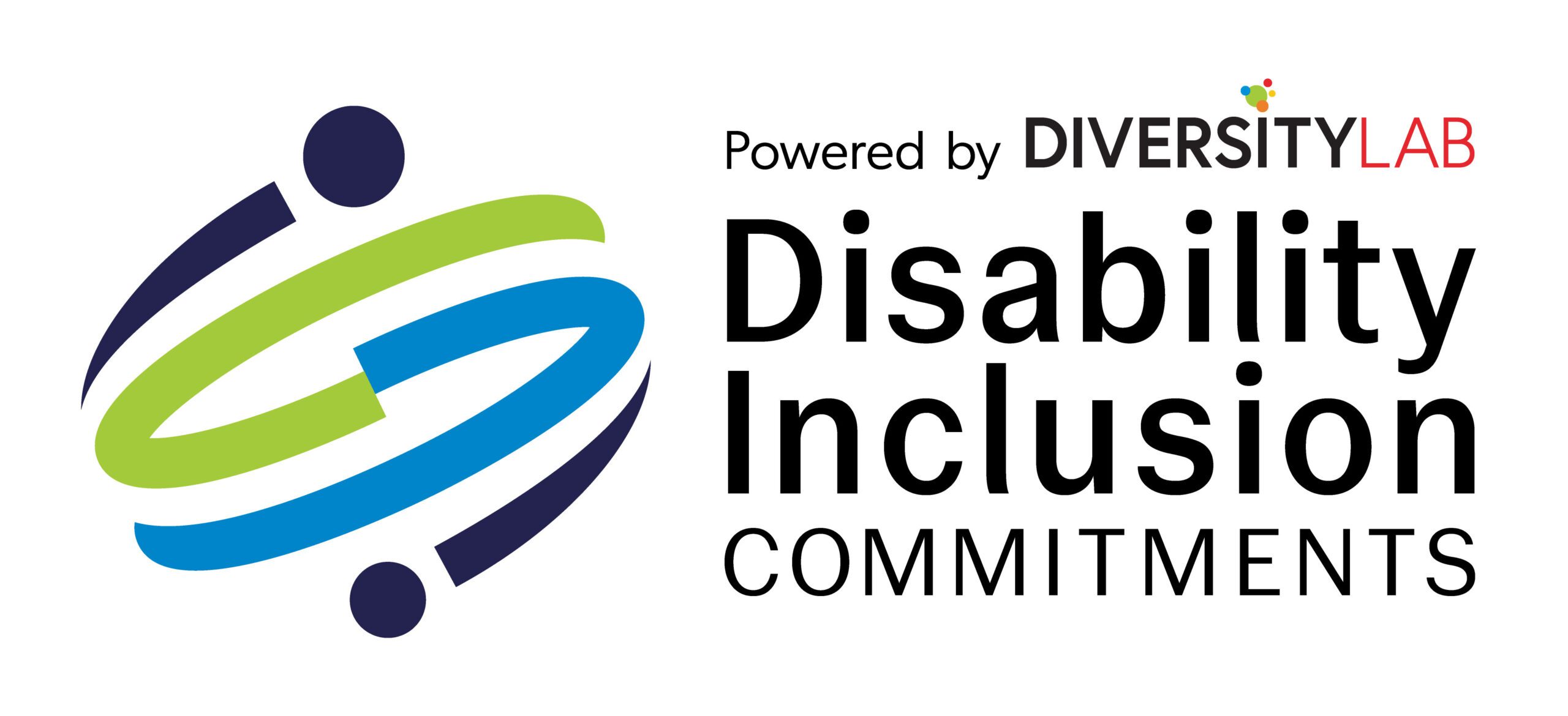 Disability Inclusion